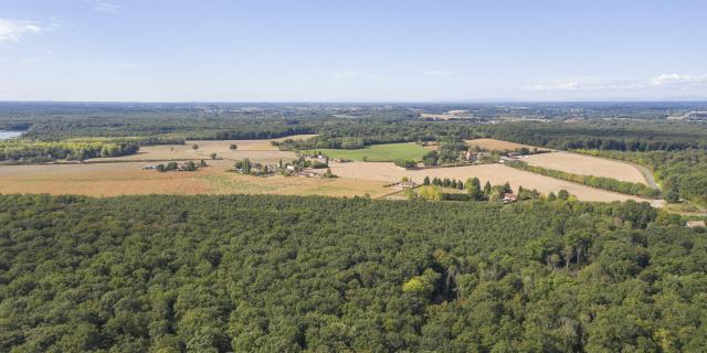 Vue aérienne Forêt domaniale de Seillon