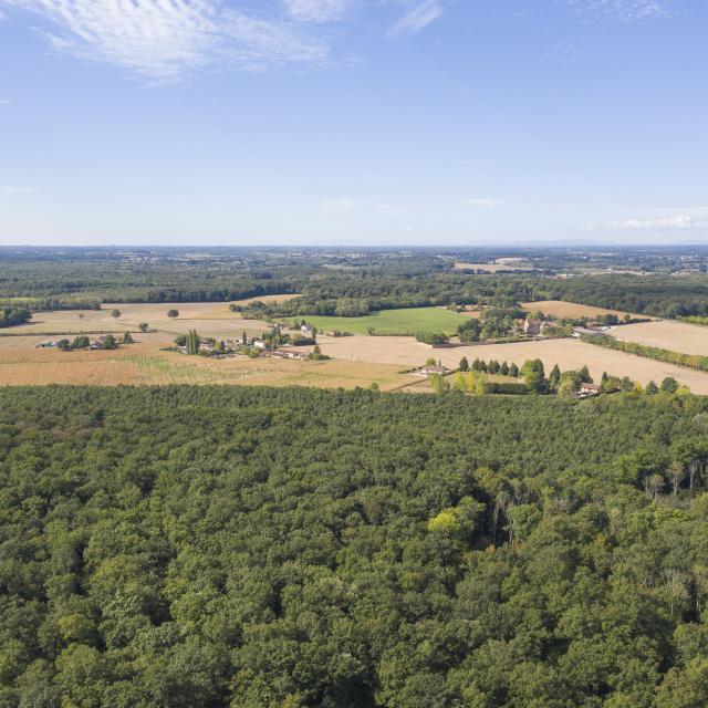 Vue aérienne Forêt domaniale de Seillon