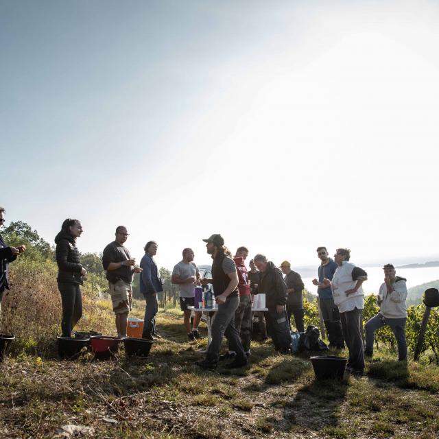 Les vendanges, la pause déjeuner