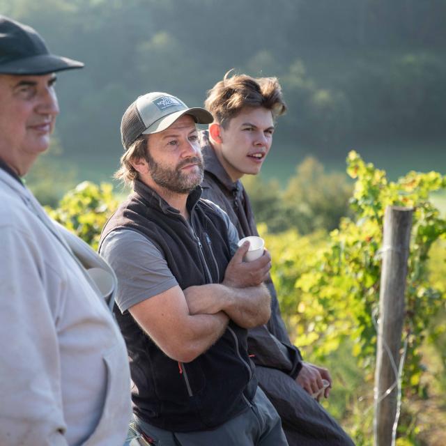 Pause déjeuner vendanges