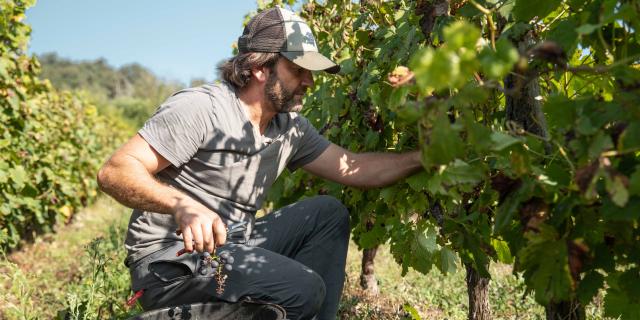 Aurélien Beyeklian est vigneron dans le vignoble du Revermont. Découvrez son quotidien dans un portrait par l'Office de Tourisme