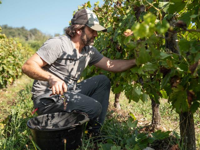 Aurélien Beyeklian est vigneron dans le vignoble du Revermont. Découvrez son quotidien dans un portrait par l'Office de Tourisme