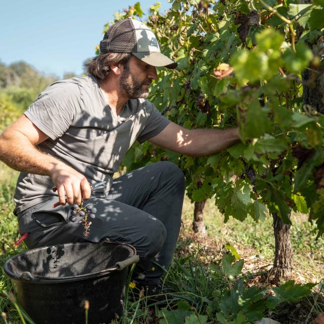 Aurélien Beyeklian est vigneron dans le vignoble du Revermont. Découvrez son quotidien dans un portrait par l'Office de Tourisme