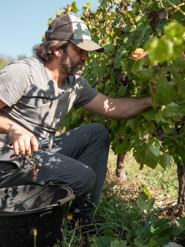 Aurélien Beyeklian est vigneron dans le vignoble du Revermont. Découvrez son quotidien dans un portrait par l'Office de Tourisme