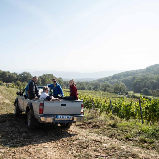 Vendangeurs en voiture vignoble