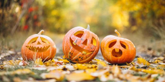 Three Cute Halloween Pumpkins Autumn Park©senivpetro