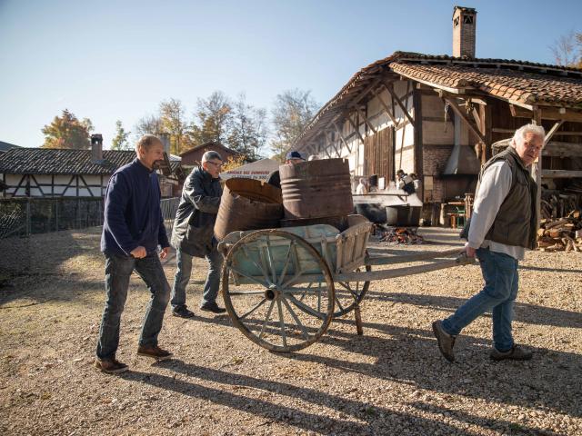 Accueil de groupes et visites guidées des fermes de Bresse et du Revermont