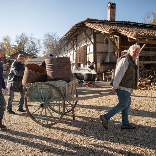 Accueil de groupes et visites guidées des fermes de Bresse et du Revermont