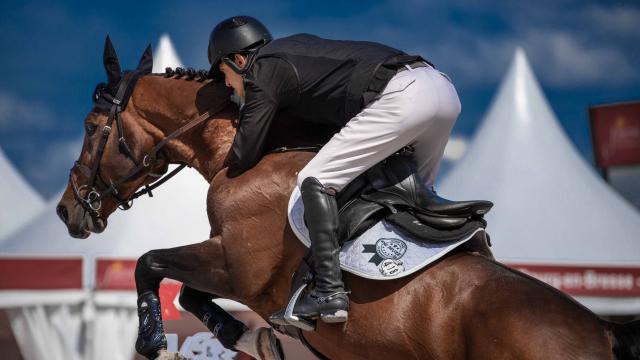 Cheval en exercice pendant le jumping international de Bourg en Bresse - Office de Tourisme Bourg-en-Bresse destinations