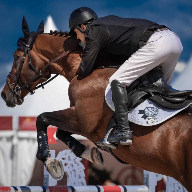 Cheval en exercice pendant le jumping international de Bourg en Bresse - Office de Tourisme Bourg-en-Bresse destinations