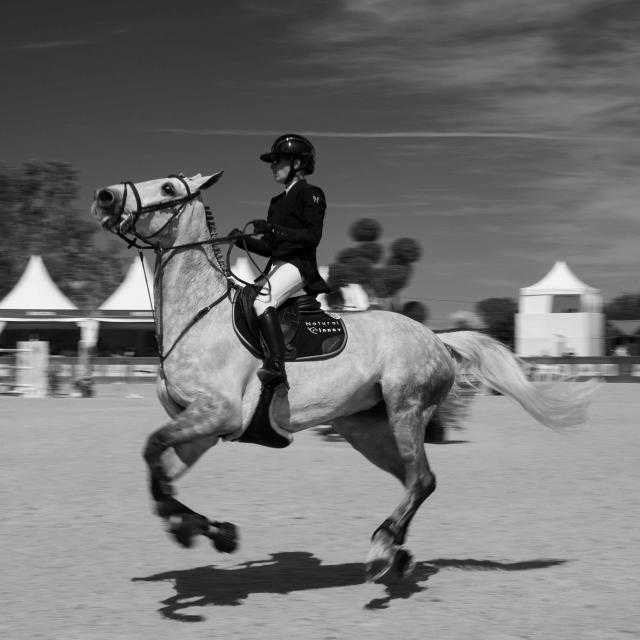 Equitation - Course d'obstacles à cheval - Jumping international de Bourg 2021 - Office de Tourisme Bourg-en-Bresse destinations