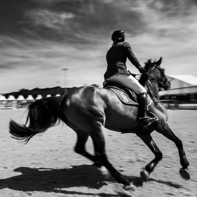 Cheval en pleine course pendant le jumping international de bourg en bresse 2021 - compétition équestre de saut d'obstacles - Office de Tourisme Bourg-en-Bresse destinations