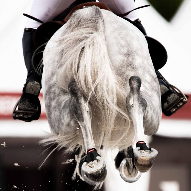 Saut de cheval pendant l'édition 2021 du Jumping International de Bourg-en-Bresse - Office de Tourisme Bourg-en-Bresse destinations