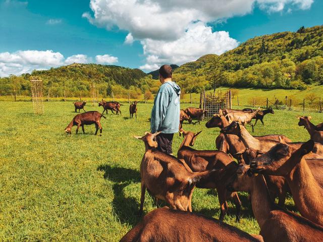 Ferme Du Pré Chevrier à Cuisat au pied des montagnes du Revermont