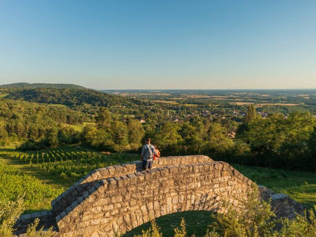 Passerelle Des Vendangeurs Ceyzériat(19)©pierre Jayet