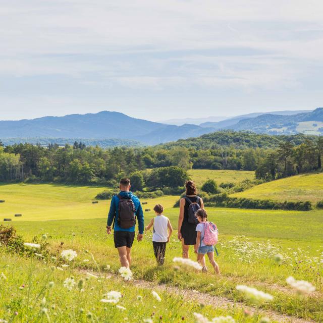 Randonnée Plateau D’arnans(1)©pierre Jayet