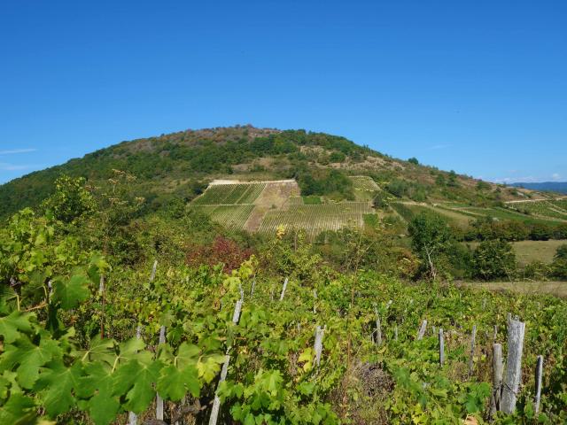 croix de la dent Saint Martin du Mont Bourg-en-Bresse destinations Office de tourisme