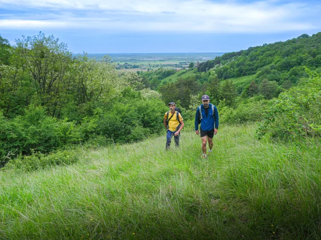 Bourg En Bresse Destinations En Montant Depuis Journans David Genestal Mai 2024.jpg