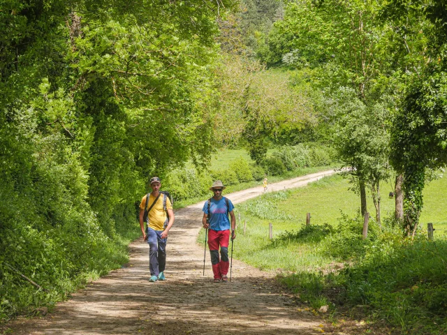 Bourg En Bresse Destinations Sentier Sous Cuvergnat David Genestal Mai 2024.jpg