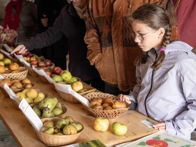 Fete Du Vincuit Ferme De La Foret Courtesmorgane Monneret 48