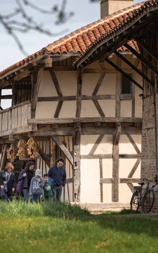 Ferme De La Foret en famille Courtes