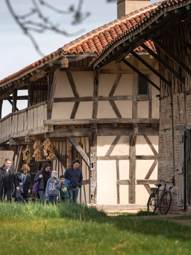 Ferme De La Foret en famille Courtes