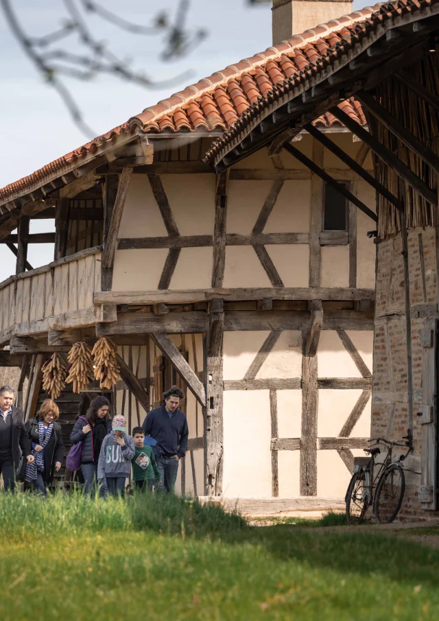 Ferme De La Foret en famille Courtes