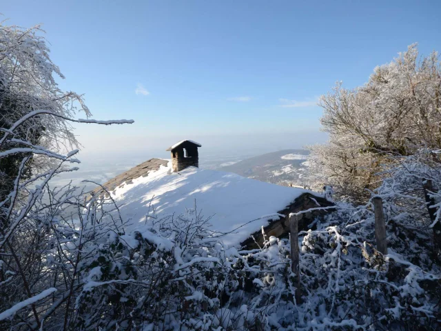 Mont enneigé